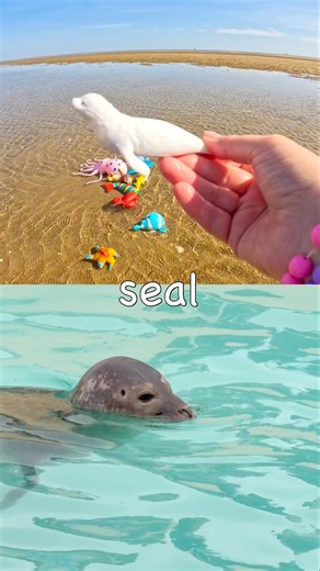 Sea Animal Names for Kids | Toy Learning Fun at the Beach: Whale Shark Sea Lion Lemon Shark Seal