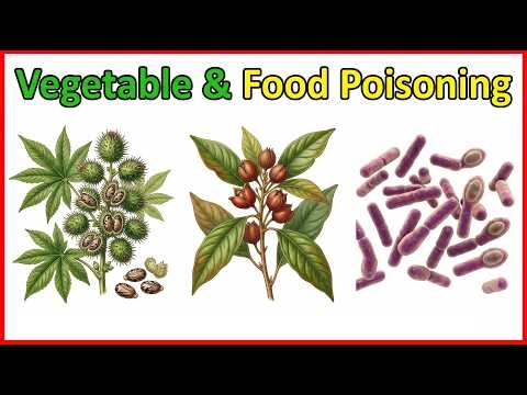 22. Vegetable & Food Poisoning: Ricin, Croton & Botulism | Microbiology Master the Boards 🩺