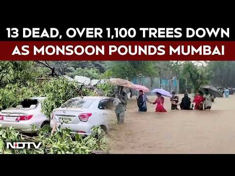 Mumbai Rain News | Monsoon Fury Batters Mumbai; New Pune-Mumbai Expressway Tunnel Collapses