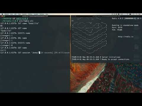 Redis Commands #redis #rediscommands #databases #programming #coding #webdevelopment