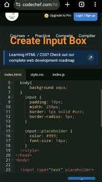 Create Input Box With placeholder HTML and CSS #input box #placeholder