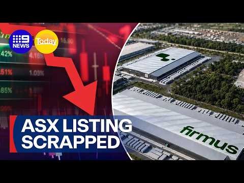 Are the AI warning signs beginning to appear? | 9 News Australia