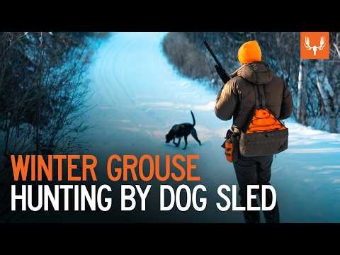 Winter Grouse Hunting by Dog Sled | With Tony Peterson