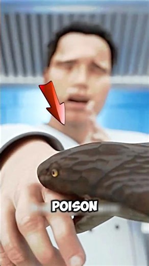 Bitten by a Snake? Here’s What Really Happens