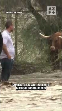 Throwback: Floods SHOCK Arizona community