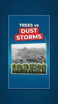 America Planted 200 Million Trees - Did It Stop the Dust Bowl?
