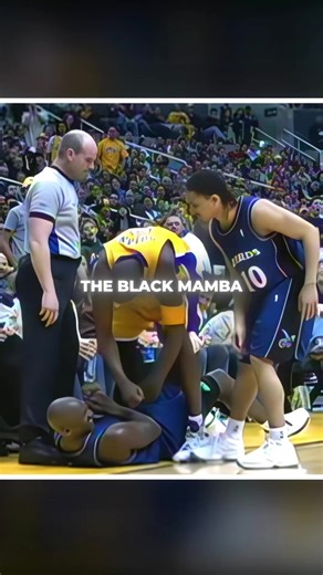 Michael Jordan & Kobe Bryant: The Black Mamba Legacy