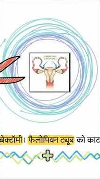 Biology Class 12 Chapter 3 Full Chapter | Human Reproduction | NCERT Line by Line