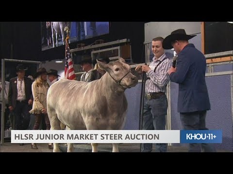 Reserve grand champion steer goes for $750,000 at rodeo auction
