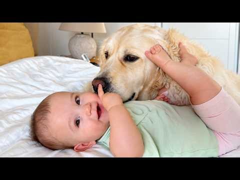 Baby Wakes Up to Her Favorite Golden Retriever