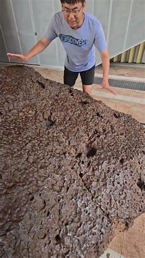 Aliens' Secrets: Meteorites Reveal Earth's Cosmic Past