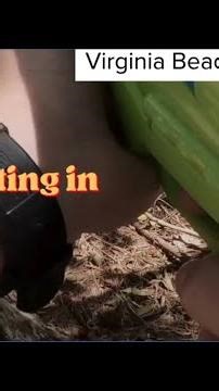 Toy guns, real fear: ‘Senior Assassin’ game triggers police calls in Virginia Beach