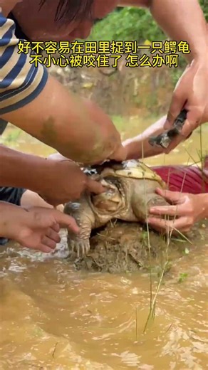 Unbelievable River Fishing Adventure: Catching Big Fish In Waterfall Rapids!