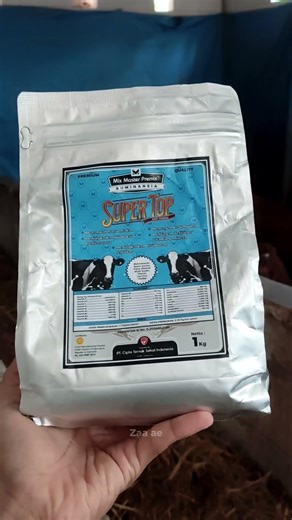 Tambahkan Super Top Sapi Perah agar produksi susu melimpah