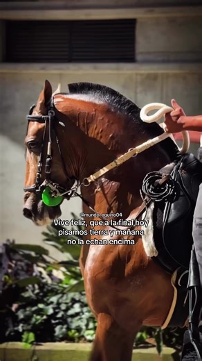 Dibujos de Caballos Fáciles y Salvajes