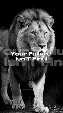 #neverlosefaith #inspirationalquotes #growyourfaith #foryou #motivationalquotes #quotes #motivation