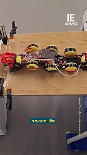 NYU Tandon engineers have built WorMa, a half-metre, worm-like robot that pumps about 300 grams of water between balloon tanks in its head and tail to move its centre of mass. Shifting the weight forward let it climb a 19.5-degree slope and pull itself out of water, shifting it back made it swim up to 26 percent faster, and switching between the two carried it over steps up to 15 cm high. The study, by Daniil Filimonov and Nana Obayashi, appears in Advanced Robotics Research.