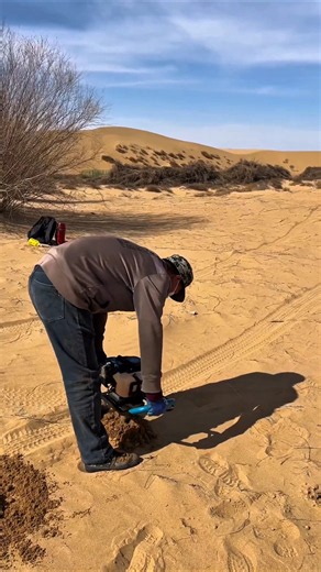 Planting BILLIONS of Trees to Stop a Desert 😱