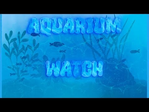 🔴 LIVE. RGB Day & Night for Office - Sleep. Freshwater Aquarium — Calm, Natural, Real-Time