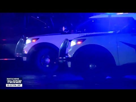 Trooper sues Washington State Patrol over AI deepfake video | FOX 13 Seattle