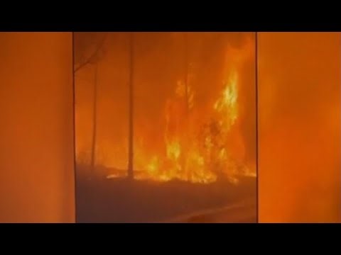 Massive wildfires spread across Georgia