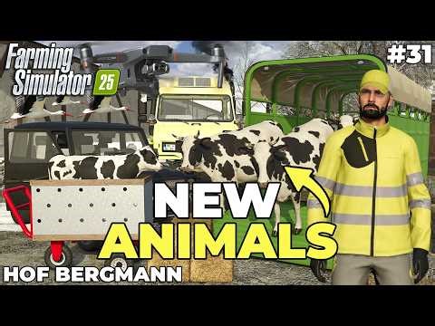 NEW ANIMALS ARRIVED AT THE FARM! BIG ANIMAL CARE DAY 🐮 | Hof Bergmann | Farming Simulator 25 | EP 31