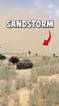 DayZ Sandstorm! #dayz
