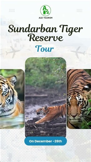 Sundarban Tiger Reserve Tour 🐅🌿 | 26 Dec | ₹8,499/- | A2Z Tourism #shorts #youtubeshorts #trending