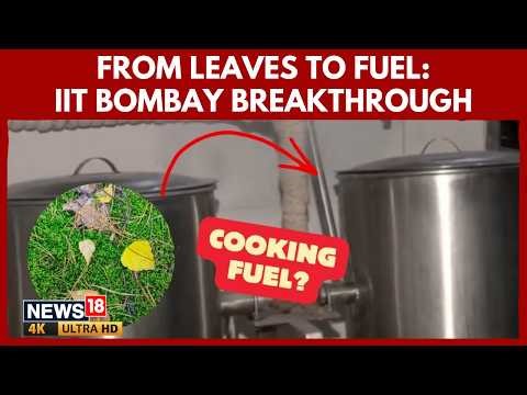 IT Bombay Scientist Turns Fallen Leaves Into Cooking Fuel—How Will This Reduce LPG Use? | 4K