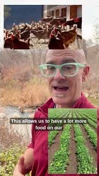 Nutrient Cycle PART 7: Eutrophication and Nutrient Runoff