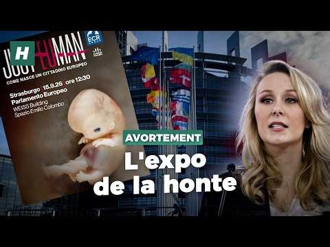 Comment une exposition anti-IVG s’est retrouvée au cœur du Parlement européen