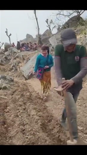 Himalayan Village Farming | Men Ploughing Fields the Traditional Way!