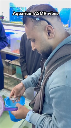 ❤️ #arowana #aquarium #fishkeeping #aquascape #viral #fishshorts #trending #shorts #breeding #fyp