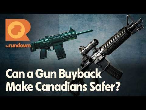 Can a Firearms Buyback Program Reduce Gun Violence? | The Rundown