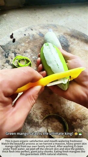Giant 2KG Secret Mango Harvest! So Juicy! 🥭😱