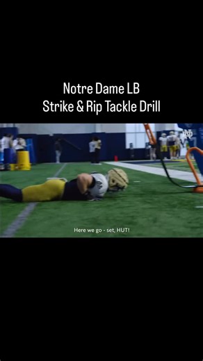 Football Drills on Instagram: "Notre Dame LB Strike & Rip Tackle Drill #footballdrills #linebackerdrills #linebackertraining #linebacker #linebackers"