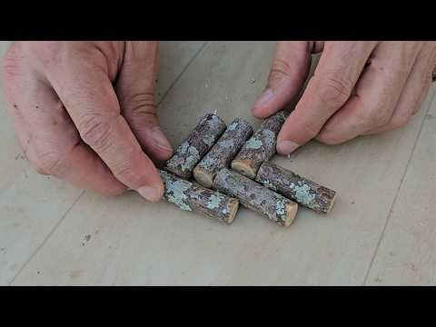 NÃO JOGUE GALHOS SECOS FORA! Faça um Suporte Incrível para sua Kokedama (CUSTO ZERO!)