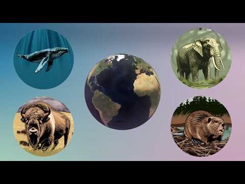 Earth Day 2026: Carbon Catchers