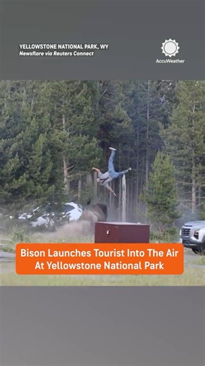 Bison Launches Man Into The Air!
