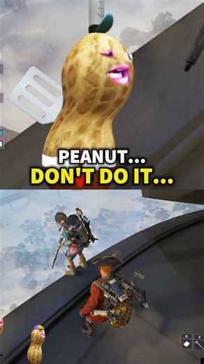 Peanut Just Couldn't Help Himself...