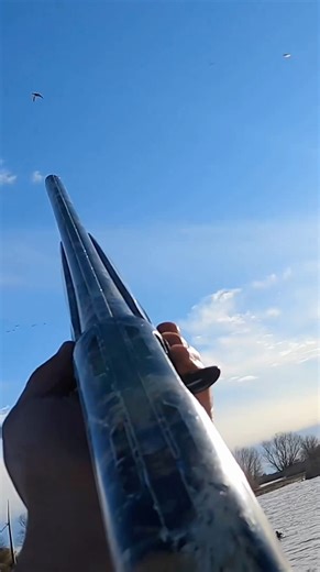 Another beautiful clean shot, hope you all like it ? #duckhunting #hunting #duck @bossshotshells