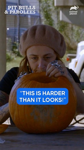 Carving Pumpkins for Pups! | Pit Bulls & Parolees | Animal Planet