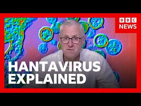 What is hantavirus and how is it spread?