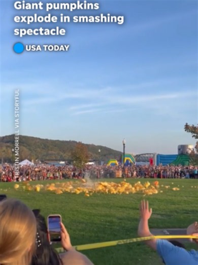 This isn't a #pumpkinpatch, t's a pumpkin demolition derby. 🎃 Crowds at #Minnesota's #StillwaterHarvestFest watched as massive pumpkins exploded on impact before racing in to grab pieces for souvenirs.