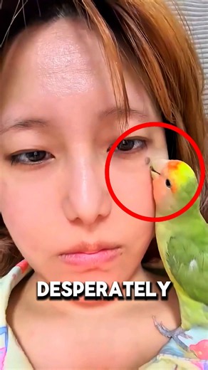 This Parrot Couldn't Fix His Mom's Warts... So He Did Something Unbelievable!