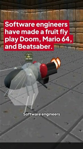 Software engineers have made a fruit fly play Doom, Mario 64, and Beatsaber