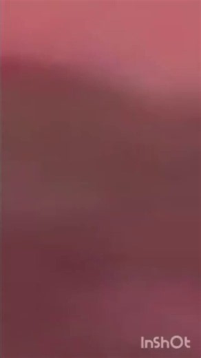 💤Jaden slurps Newman and rides Jaden for 4 minutes straight👌💯🏂🖤WHY BABY GIRL Julian Newman was in disbelief after his sister Jaden corrected N3on on the “why bebe” phrase from her viral video ✈️🌋🕸️ https://t.co/a5e1HPweWf