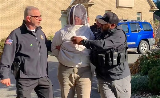 Beekeeper jailed after video shows her unleash bees on police to save cancer patient from eviction
