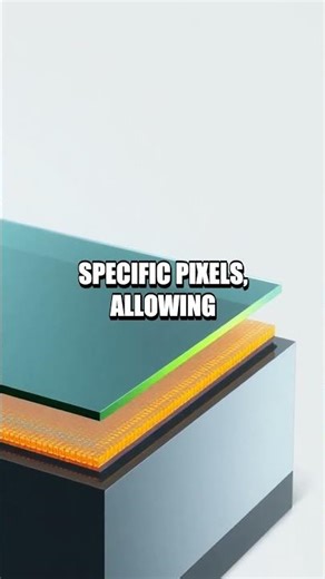 Bright Layers How OLED Displays Light Up Screens