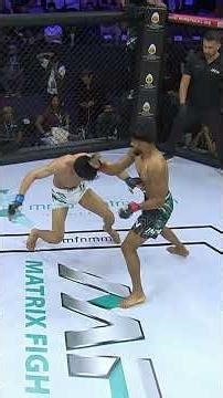 Top 16 Matrix Fight Night Brawls You Can't Miss